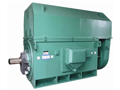 皮山Y系列6KV高压电机